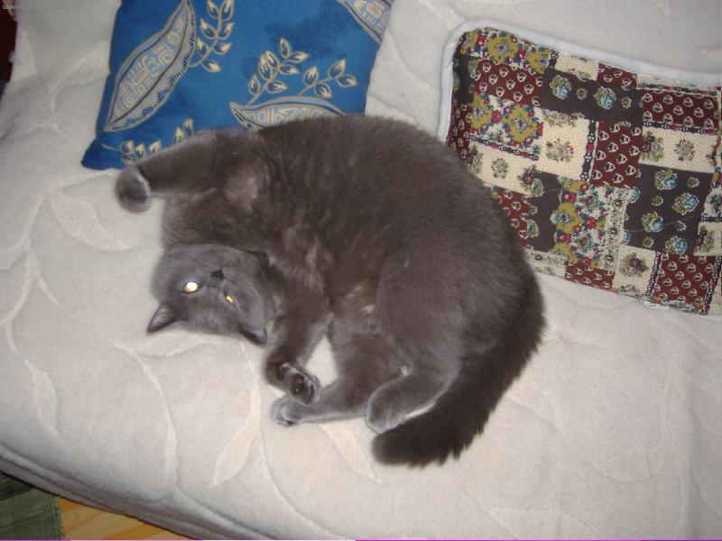 Foto: Briťák-Oskárek