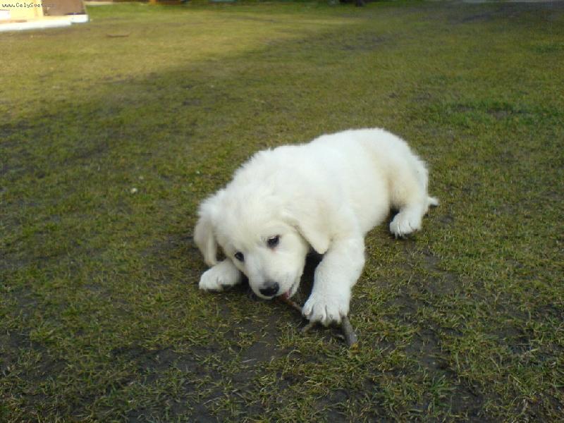 Foto: Náš Argo-9.týden