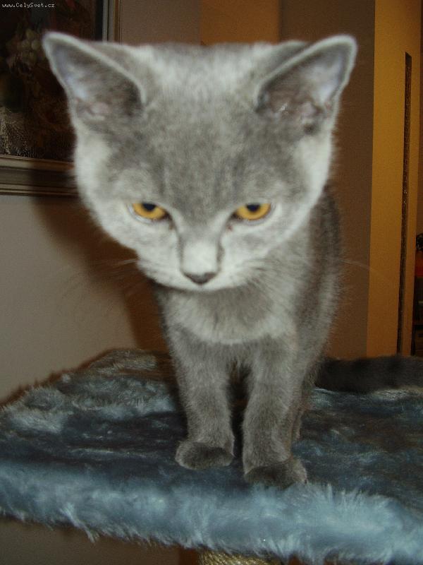 Foto: Maxíček-Maxíček s Maxi hlavičkou