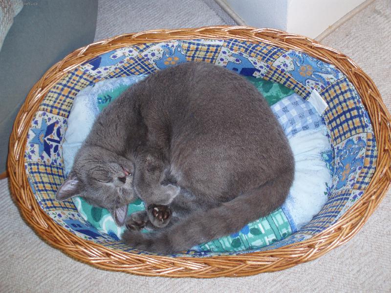 Foto: Maxíček-Maxíček jak spinká