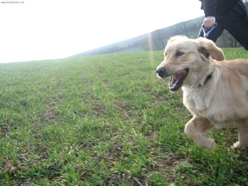 Foto: Náš 5timěsíční fešák Jerry:)