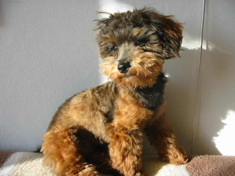 Foto: Rony od kadeřníka