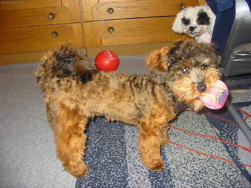 Foto: zimní domácí hrátky