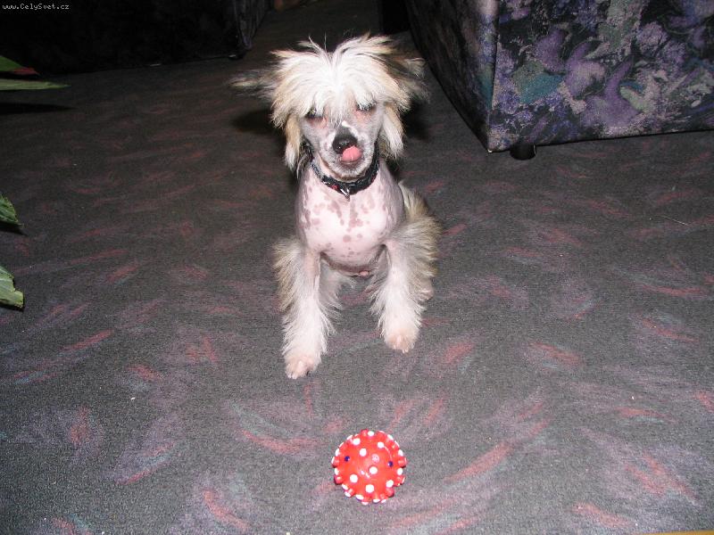 Foto: Meggie-náš miláček