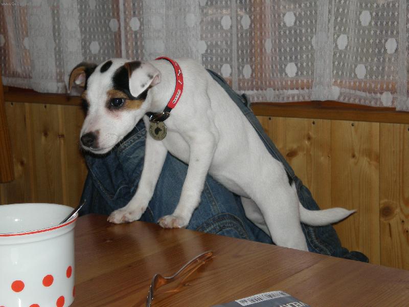 Foto: Agnes by si dala něco dobrého