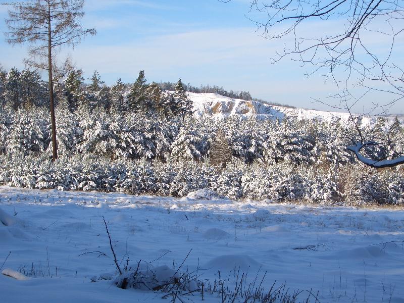 Foto: trocha letošního sněhu