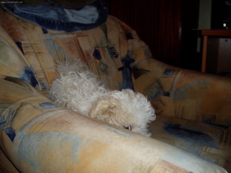 Foto: lucky-už se nechci fotit !!!