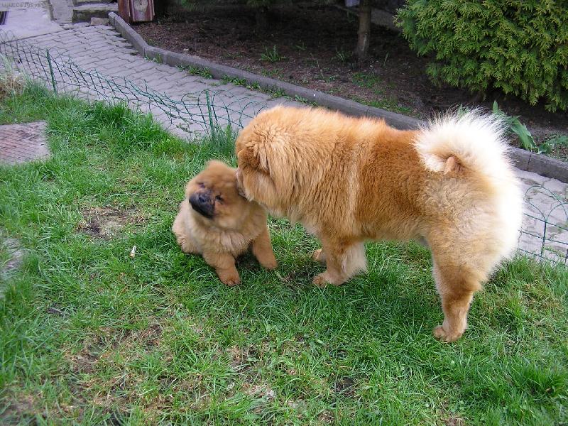 Foto: otec a syn-a teď dobře poslouchej.....