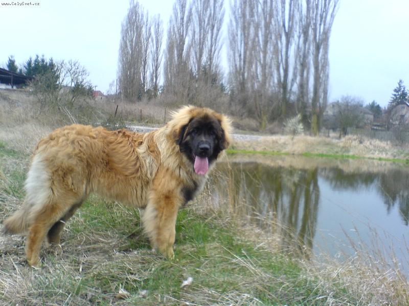 Foto: Akim Od Chuchelské dráhy