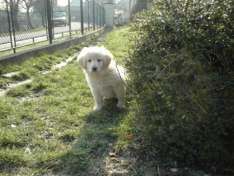 Foto: :)-Puffy, dva měscíe