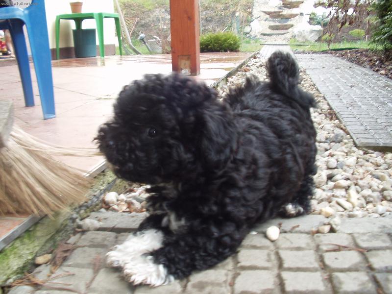 Foto: moje hry-na zahradě