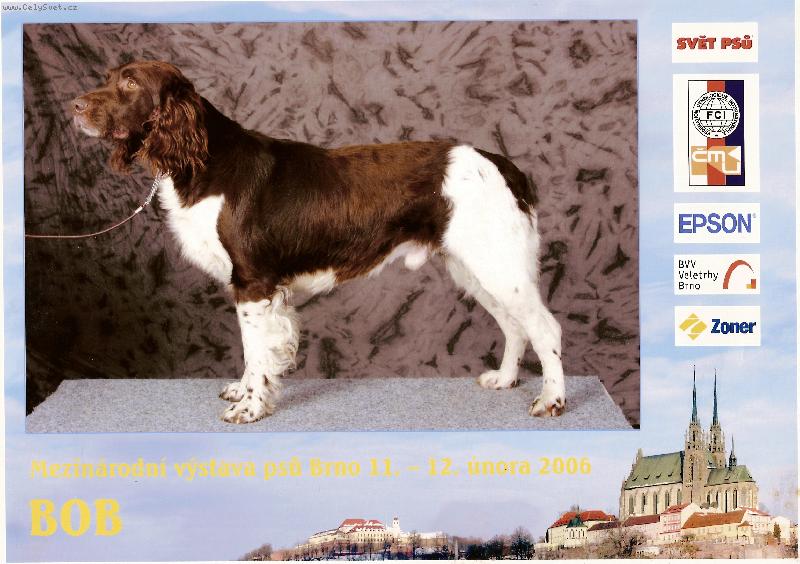 Foto: Mond od Pstriží říčky-Mond od Pstruží říčky - chovný pes