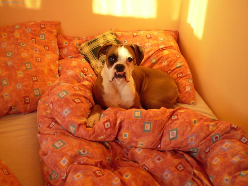 Foto: Barunka-siestička