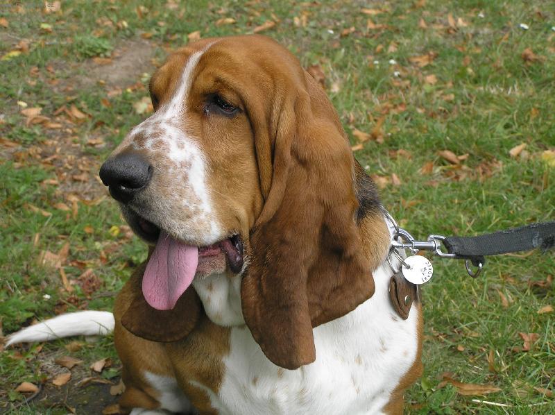 Foto: konečně teplo...