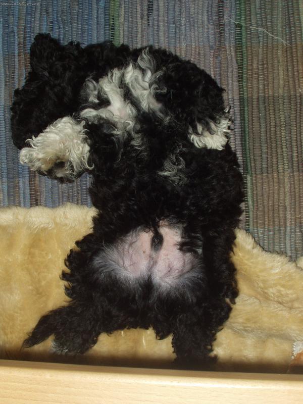 Foto: z procházky-chrupkání