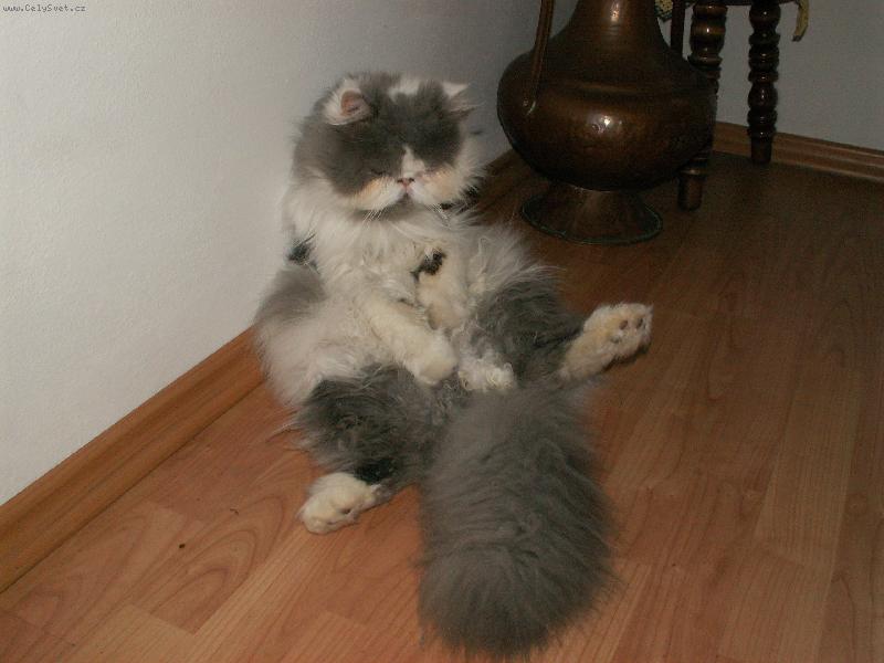 Foto: klidně fotte-siesta