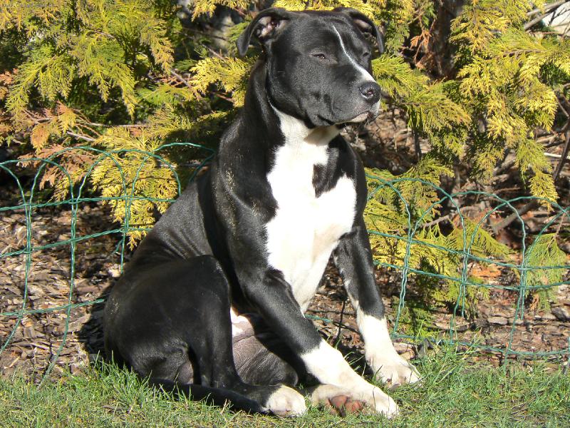 Foto: Arny 7. měsíců