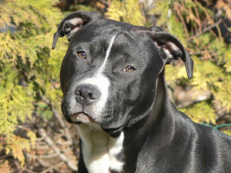 Foto: Arny 7.měsíců-Arny