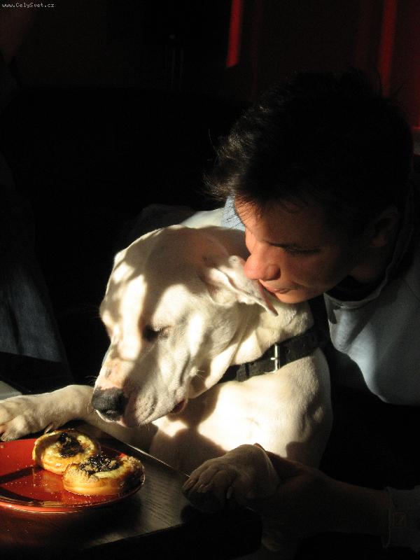 Foto: Meegy-Mám ráda koláčky