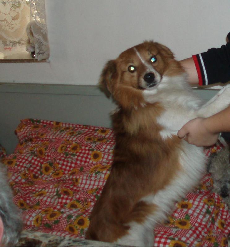 Foto: Likinek:-*-Můj Likineček