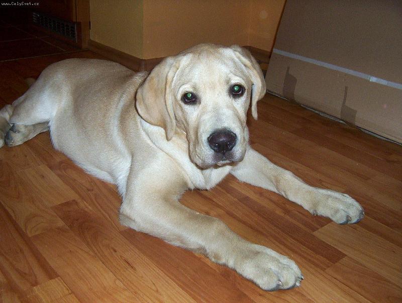 Foto: max-odpočívám