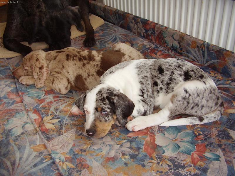 Foto: SISINKA-chrníme