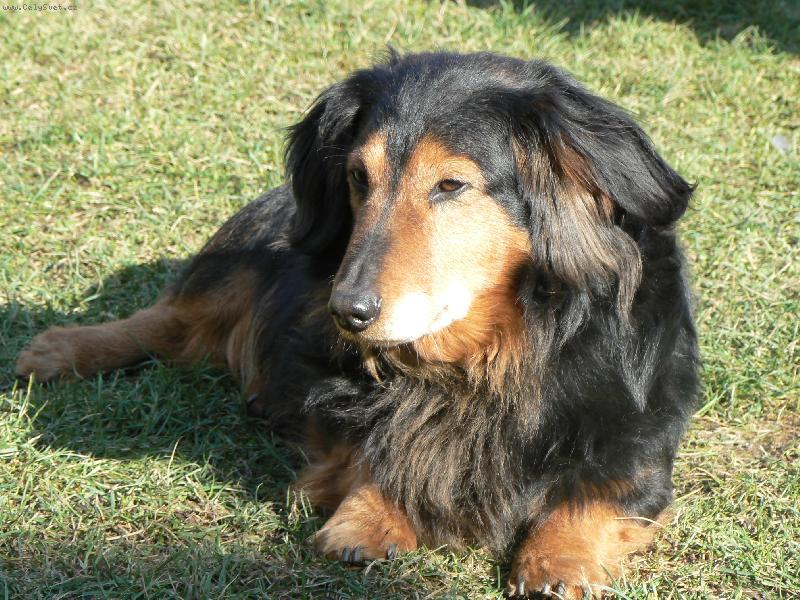 Foto: OSKÁREK 10 ROKŮ-OSKÁREK 10 ROKŮ