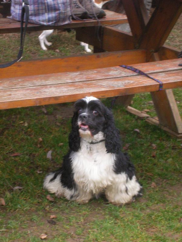 Foto: Terry-nej mazel na světě!!!!