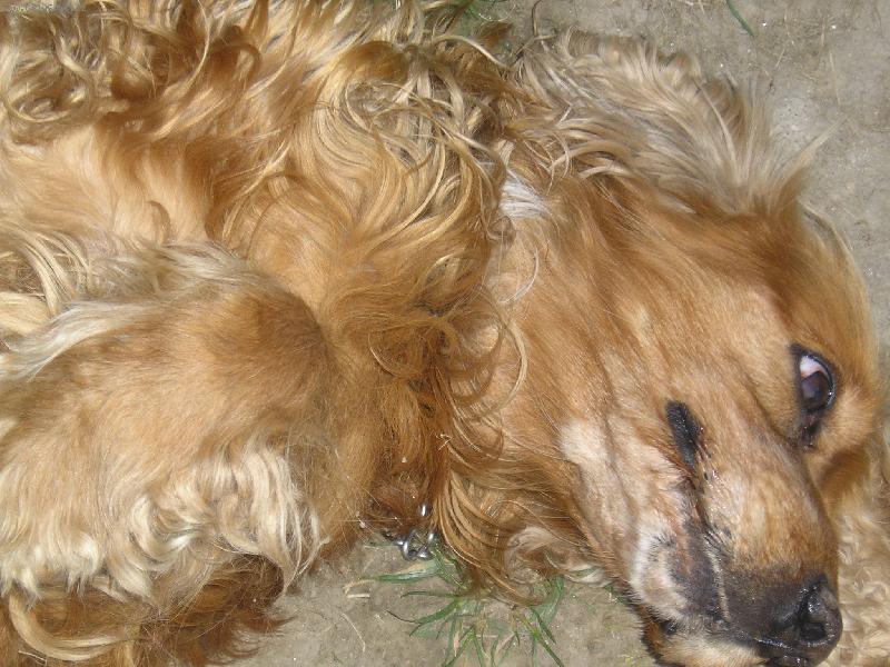 Foto: Jesin-podrbej mě