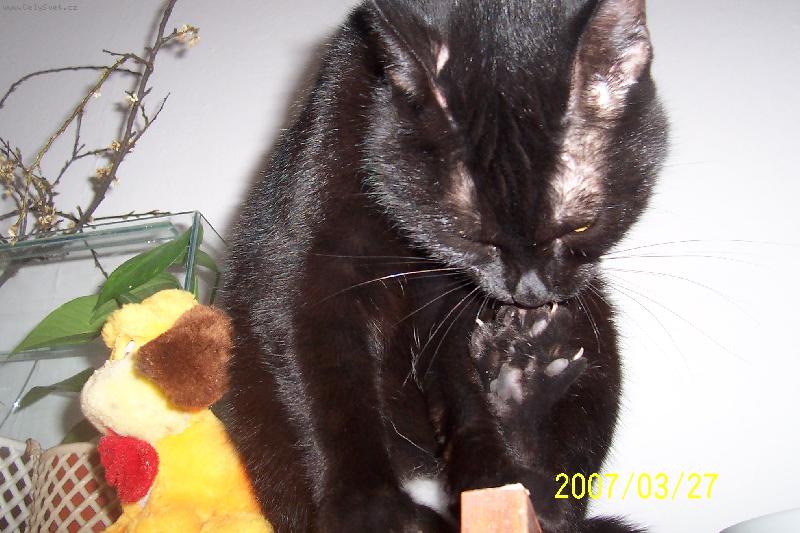 Foto: naše Lucka-Hygiena