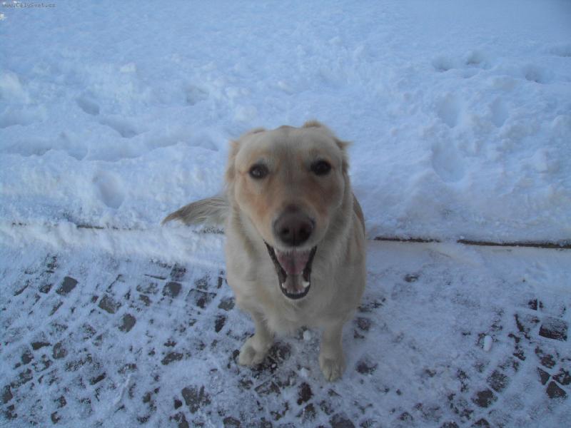 Foto: AIŠKA-Sýýýr