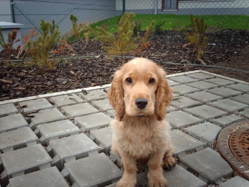 Foto: Tony-4 měsíce