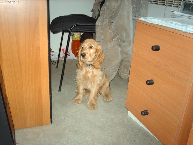 Foto: Tony opět-Pracant