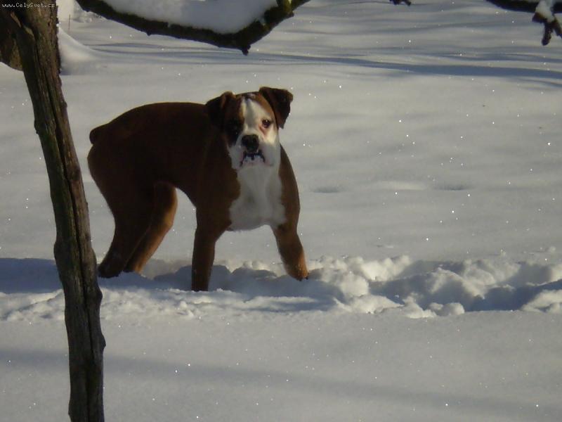 Foto: Bára-snížek