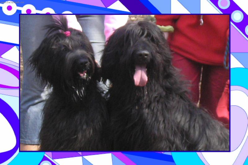 Foto: chlupáči-chlupáči