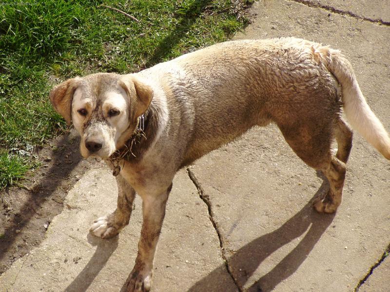 Foto: Badík-Trochu jsem se vyválel v oranici