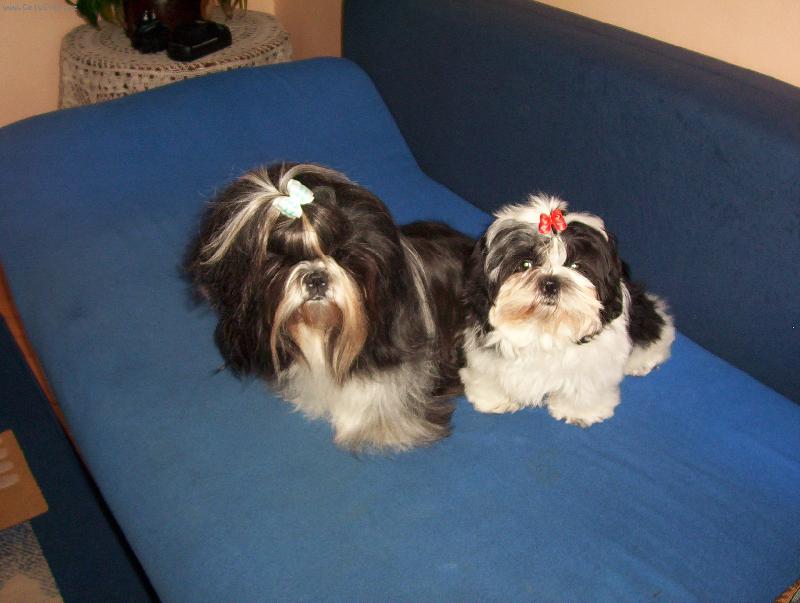 Foto: Mazlíci-Maznunkové vykoupaní