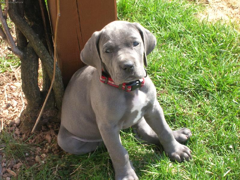 Foto: takhle mam pózovat?