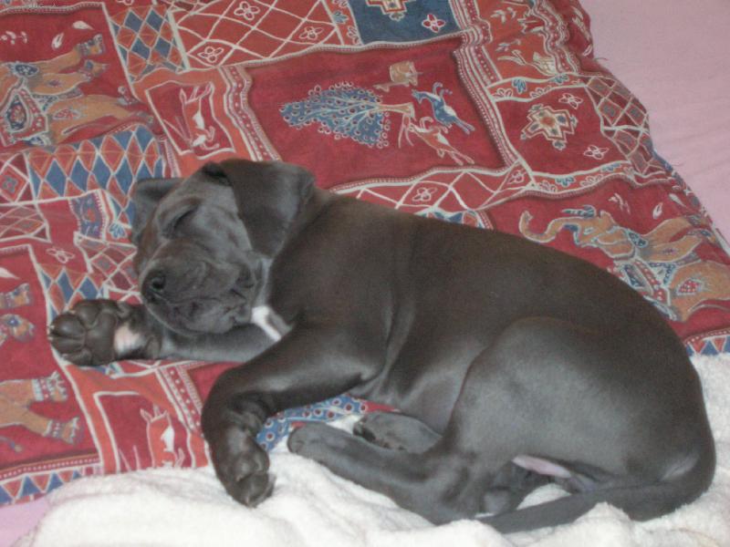 Foto: jsem nějaká ospalá