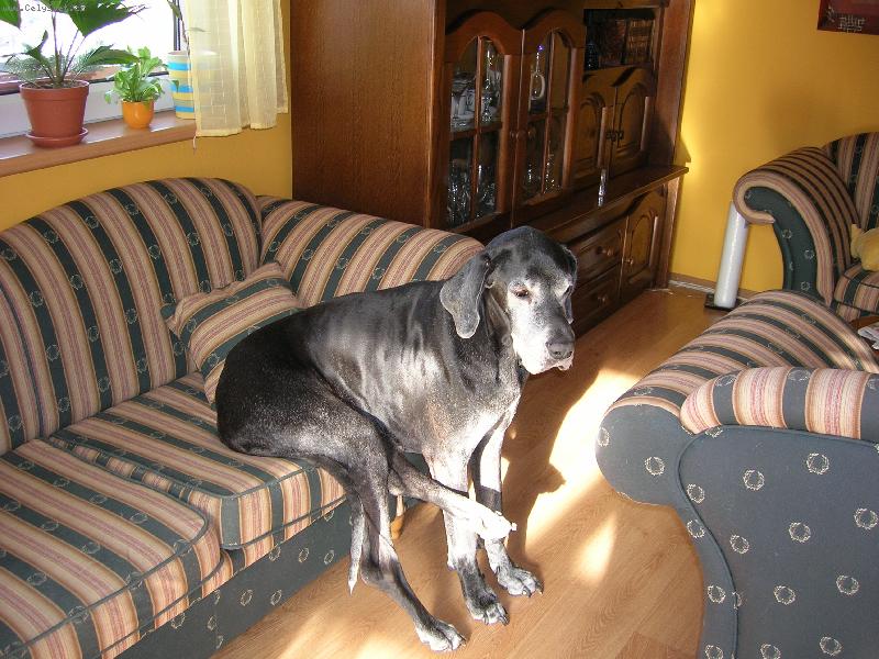 Foto: ještě mi puste prosím televizi