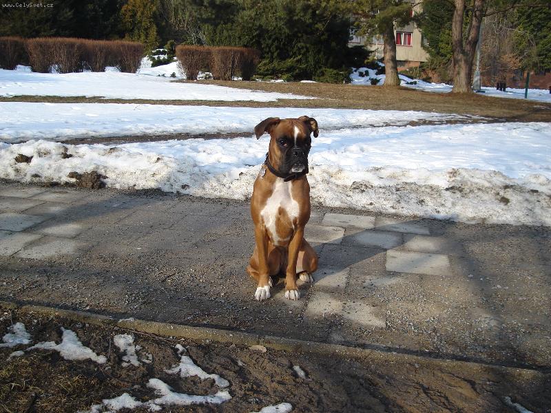 Foto: Athea-Já ji prostě miluju...