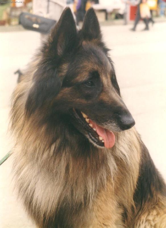 Foto: Můj milovaný Cliff (Dino Rudolfovská skála CZ)