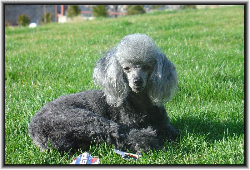 Foto: naše desetiletá Ailinka-odpočinek v trávě