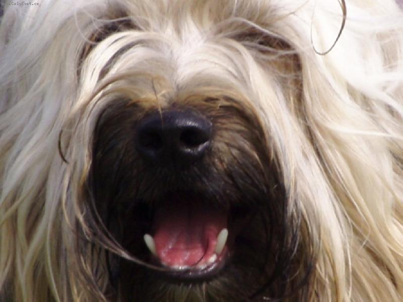 Foto: Úsměv, prosím!