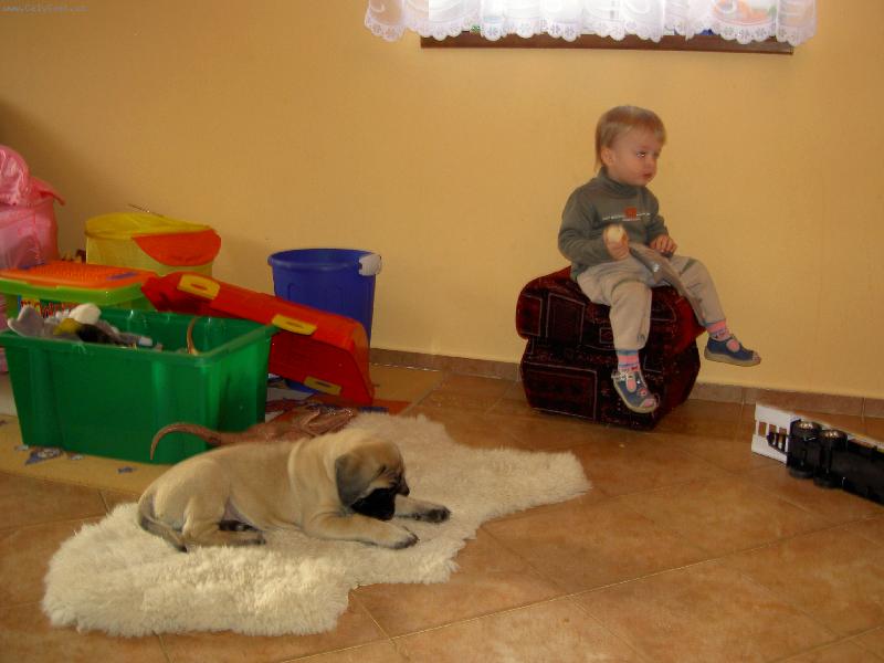 Foto: Díváme se na TV-Naše štěňátko