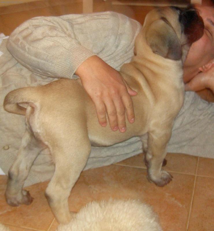 Foto: "Sežeru vás všecky"-Náš mazel Baddy