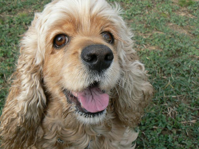 Foto: Megi-zlatíčko