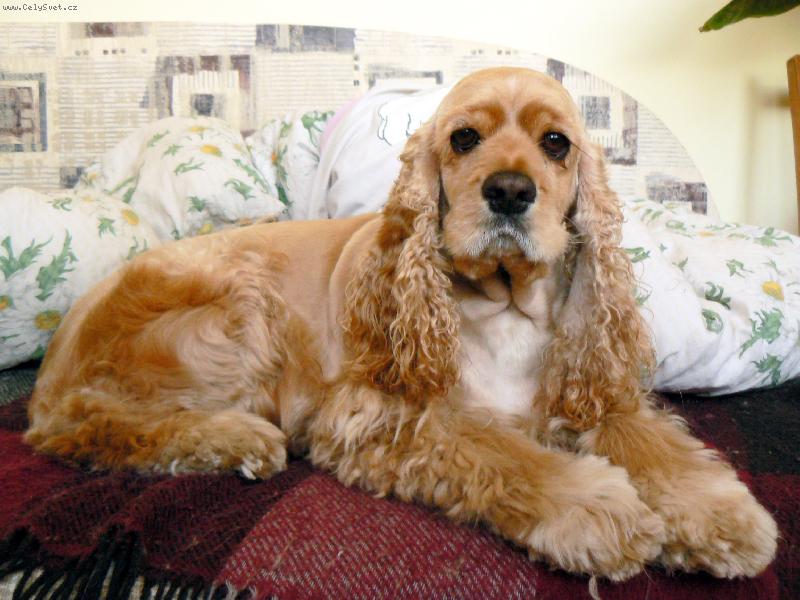 Foto: Megi-po stříhání