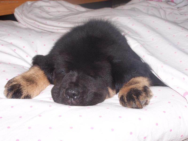 Foto: Pupínek-to je pohoda