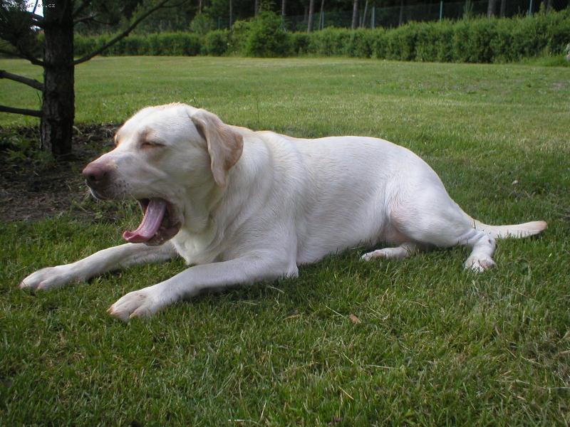 Foto: to je pohoda-to je pohoda